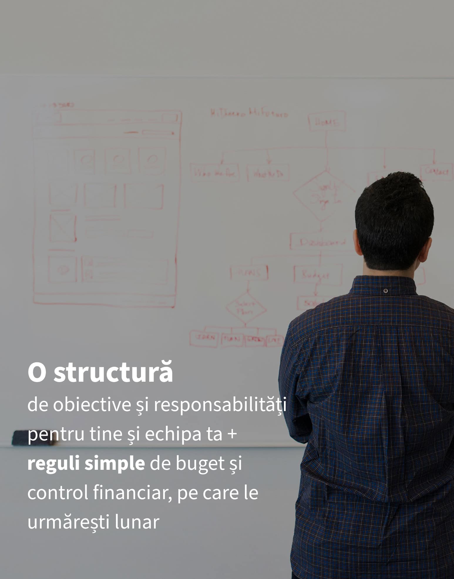 EXEC-EDU, Management 360, carusel6